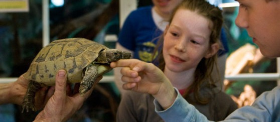Dierenpark Leens