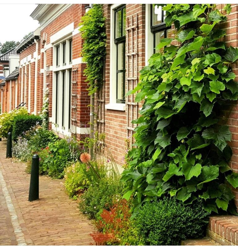 Eten en drinken in Winsum 